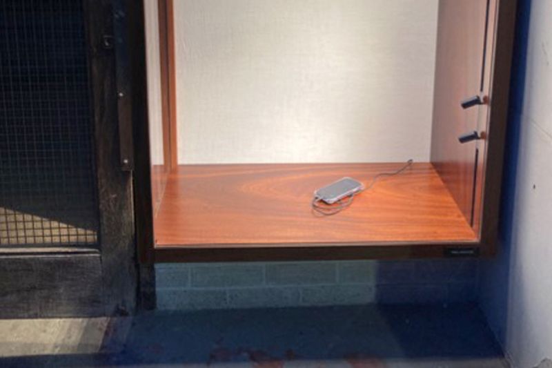 Image for Nigel Shafran's 'phones always ringing at Feral Institute