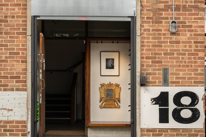 Image for Nigel Shafran's 'phones always ringing at Feral Institute